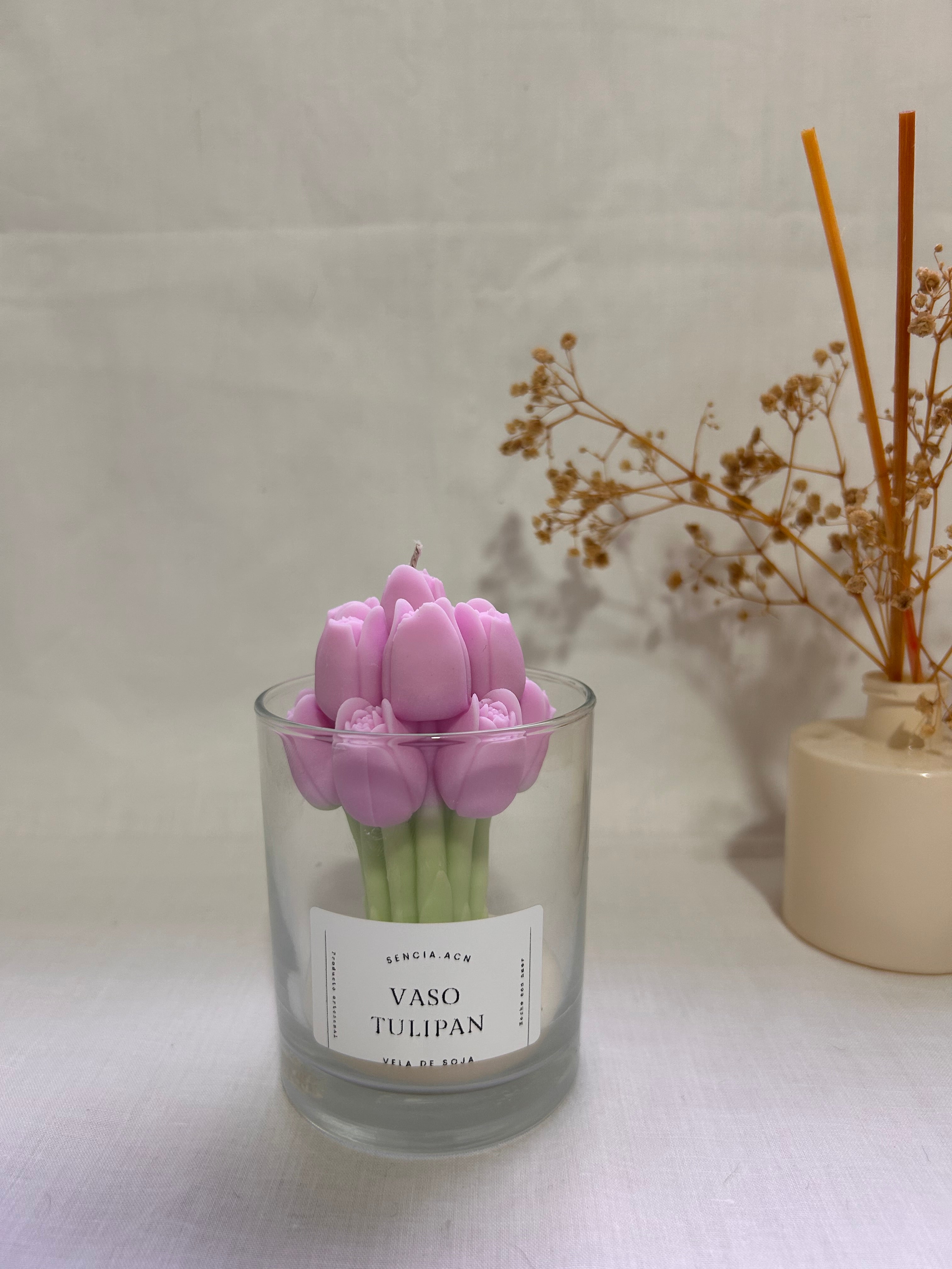 vaso tulipan