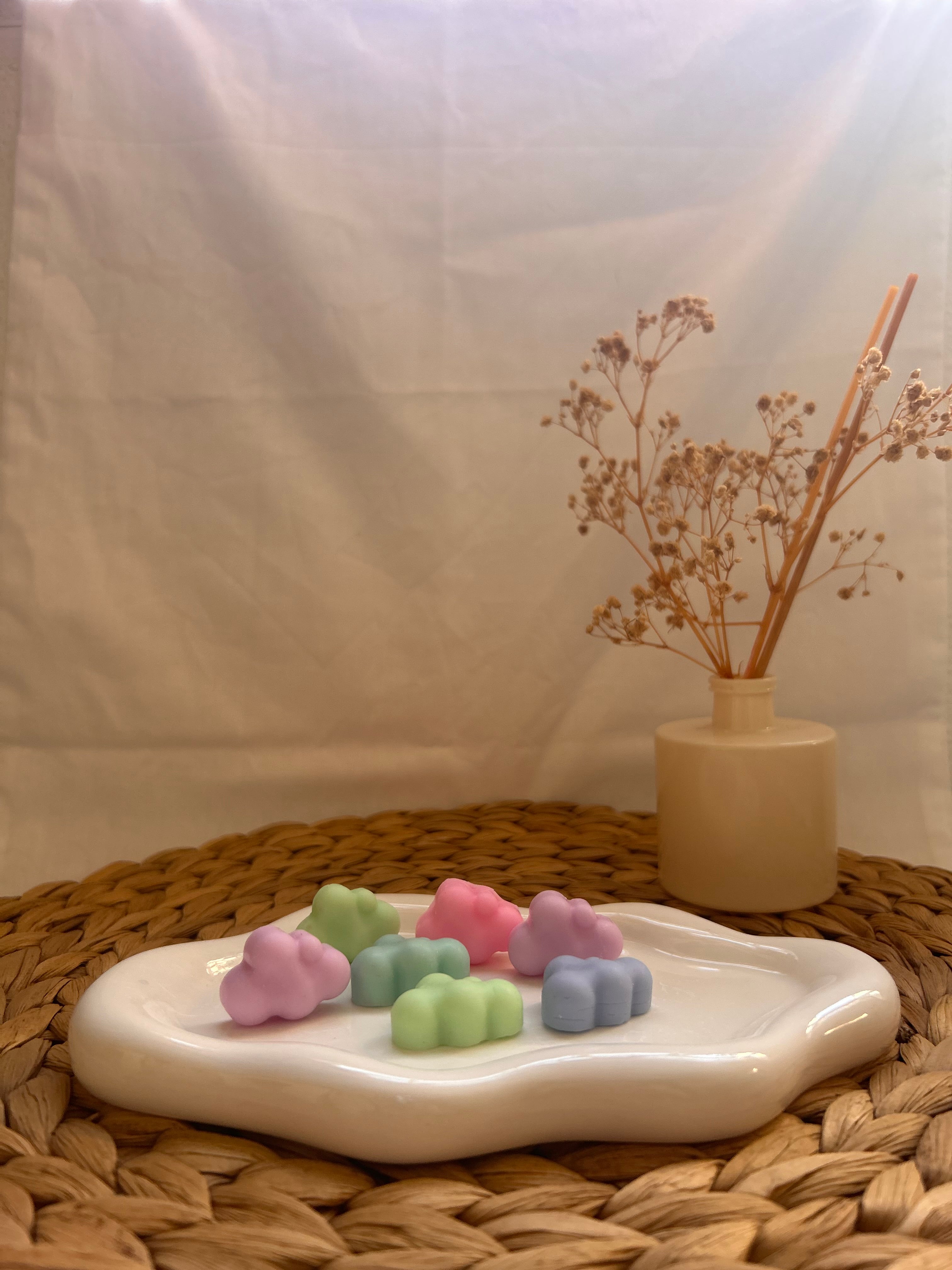 wax melts ropa limpia